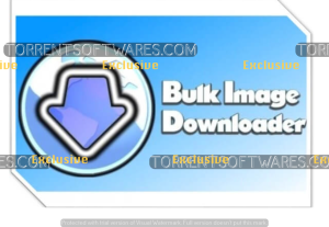 Bulk Image Downloader Crack + Key [2024] Free Download